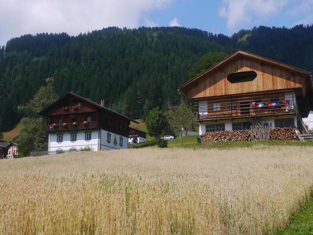 Bauernhof Im Wiesengrund 玛丽亚-卢高 外观 照片