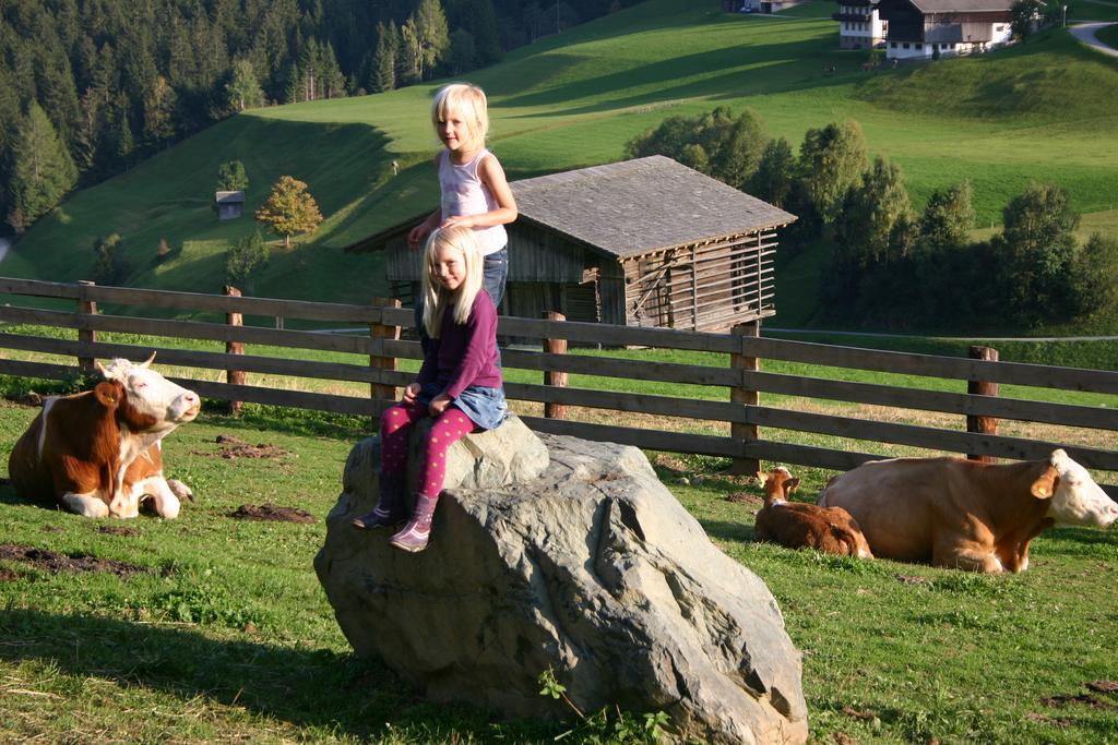 Bauernhof Im Wiesengrund 玛丽亚-卢高 外观 照片
